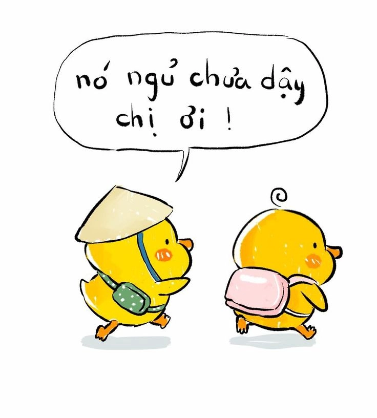 avatar vịt vàng 2