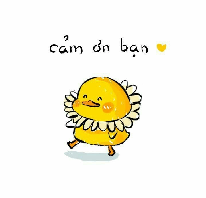 avatar vịt vàng 16