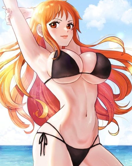 Hinh One Piece 3D hentai ren cuong