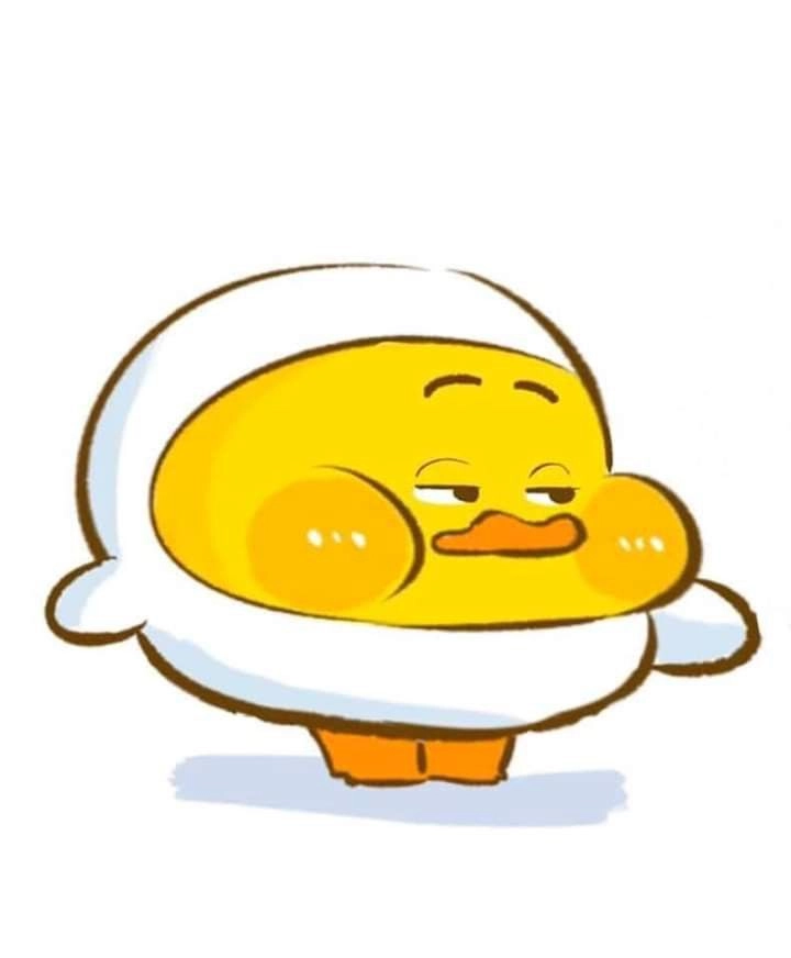 avatar vịt vàng 17