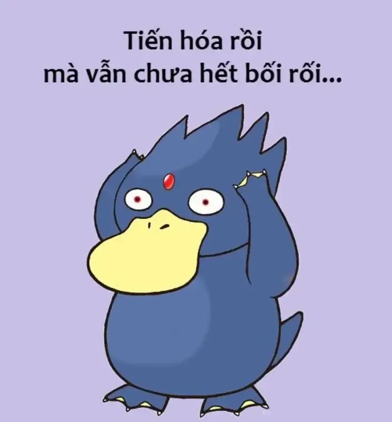 meme vịt vàng 8