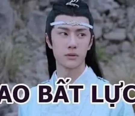 anh meme bat luc 09