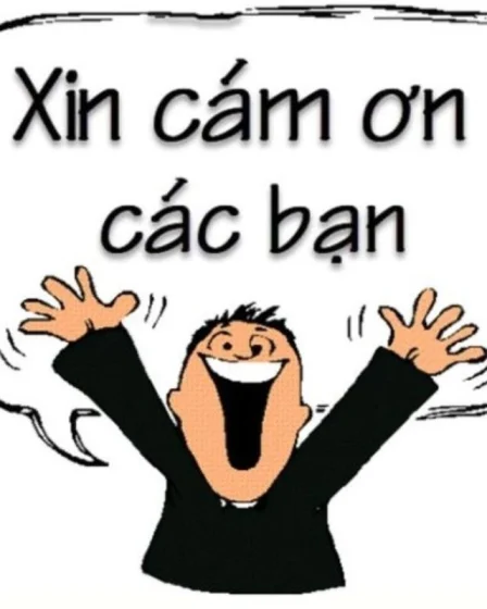 anh meme cam on 05