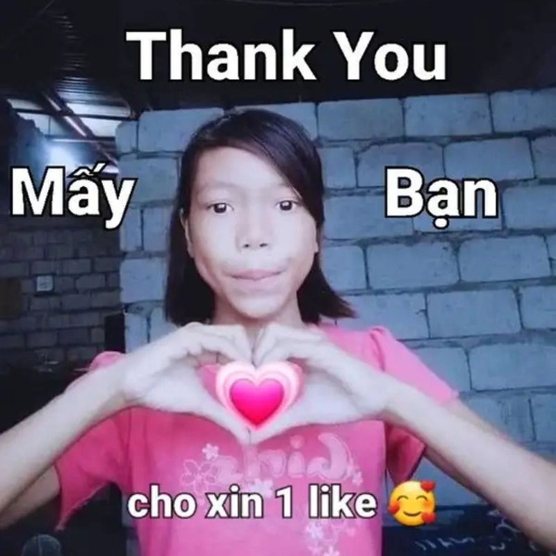 ảnh meme cảm ơn 15