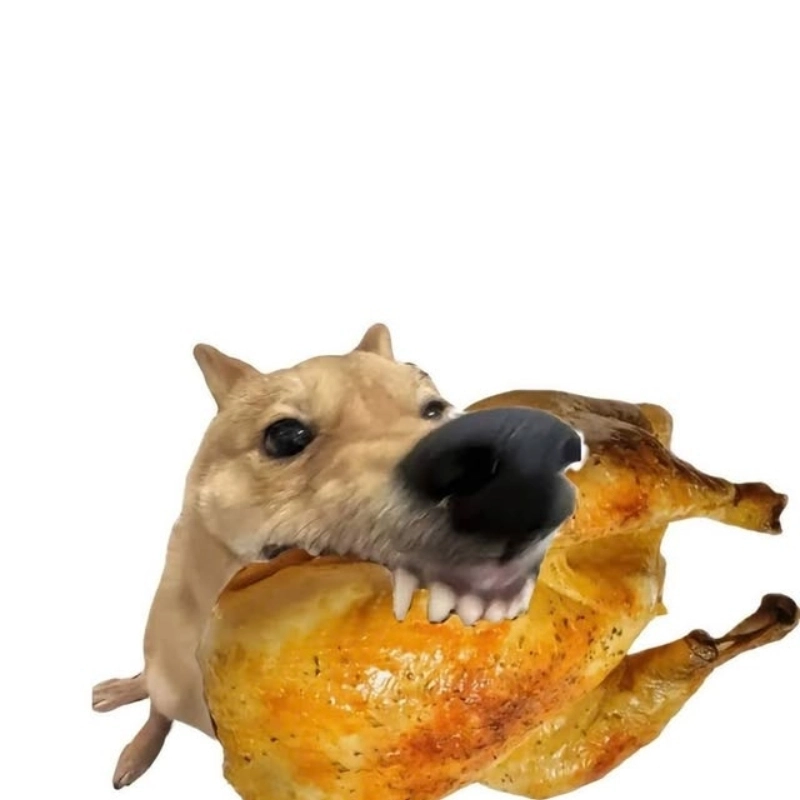 meme chó 30
