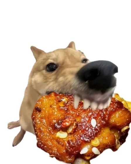 anh meme cho bua 8