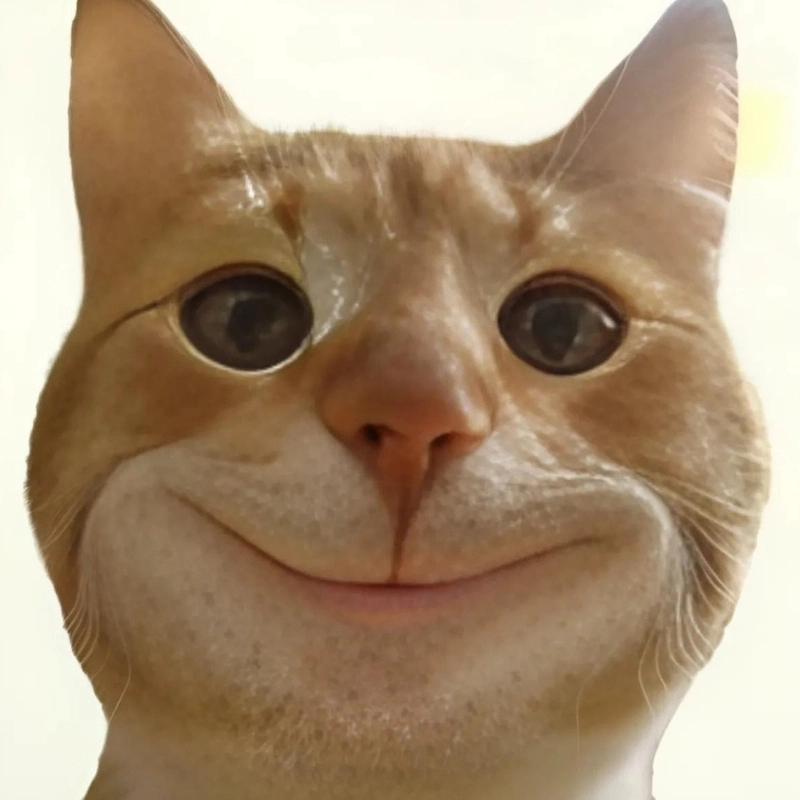 meme cười đểu 14