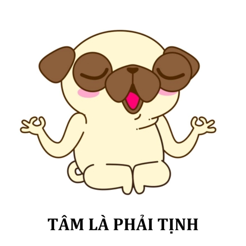 meme dễ thương 23