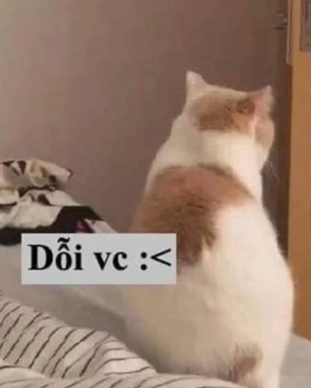 anh meme doi 07