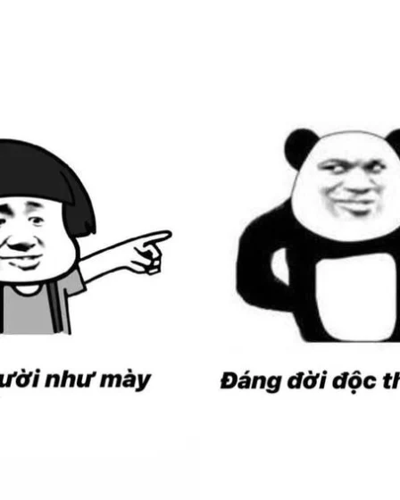 anh meme gau 05