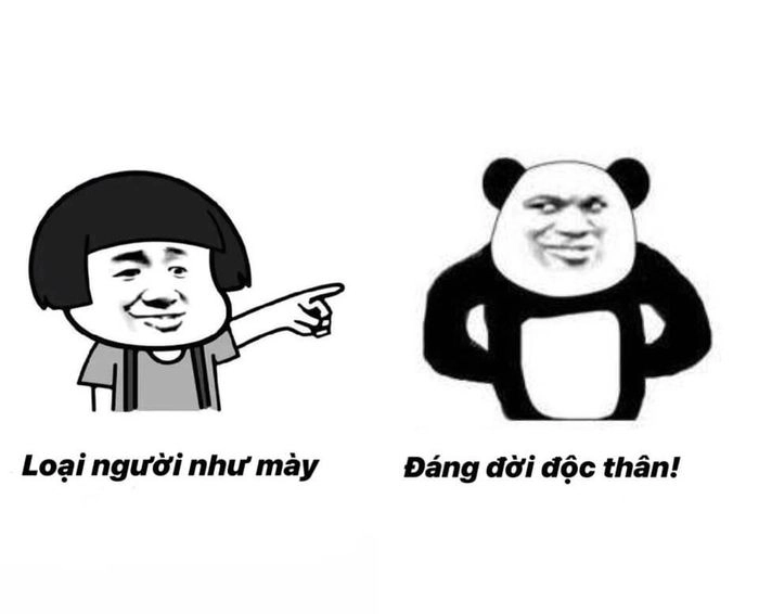 anh meme gau 05