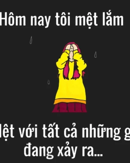 anh meme met moi 20