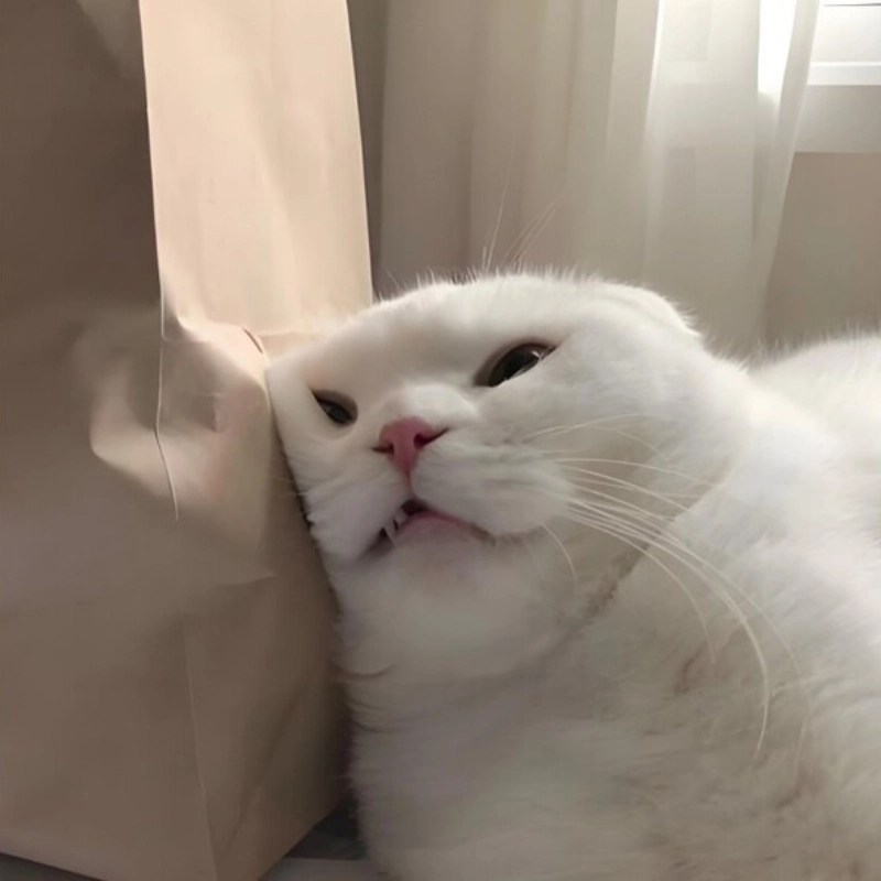 meme mệt mỏi 23