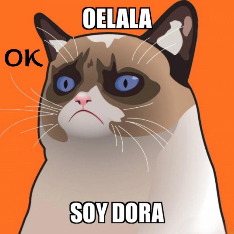 meme OK 18