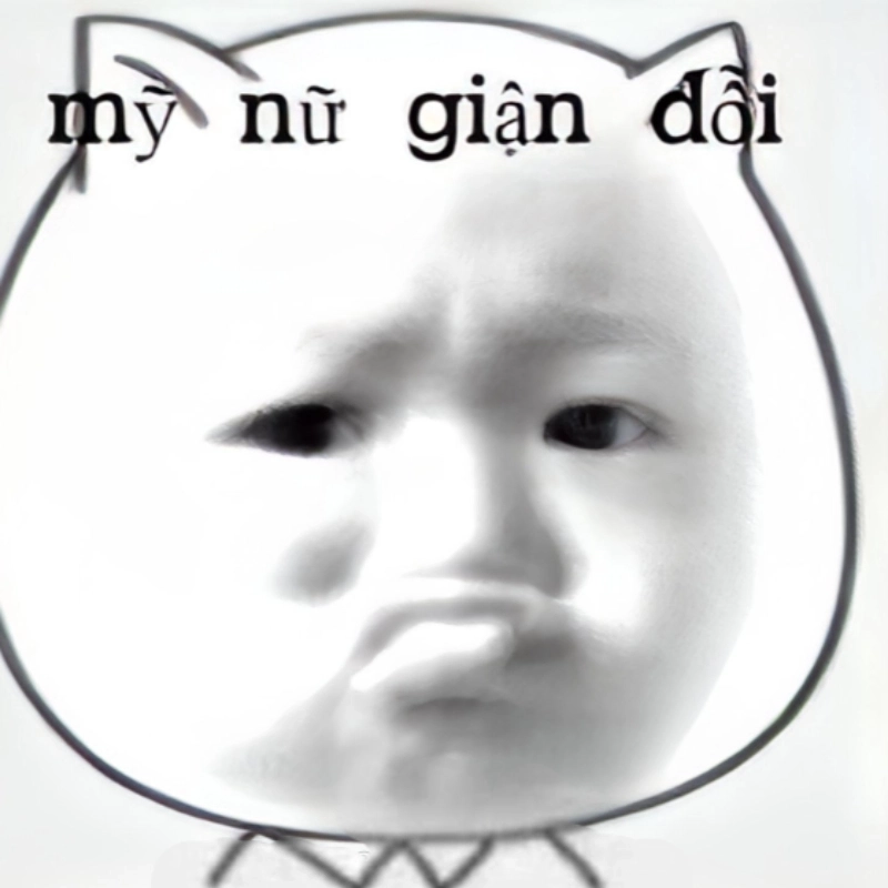 ảnh meme tức giận 34