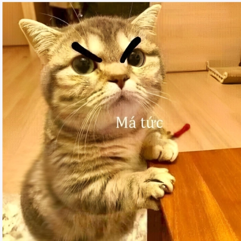 ảnh meme tức giận 27