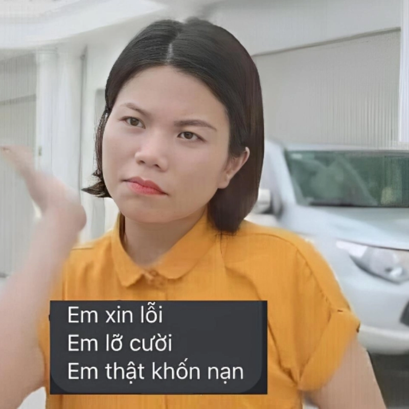 meme xin lỗi 33