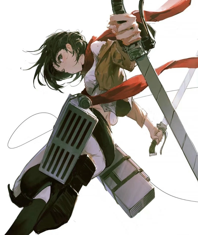 Avatar Mikasa 13