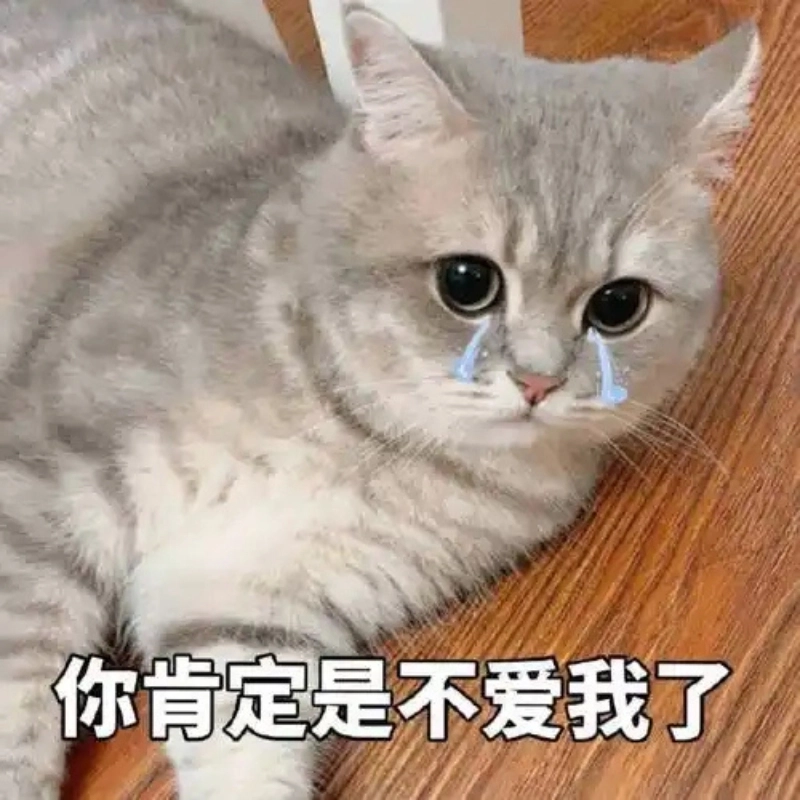 ảnh meme mèo khóc 6