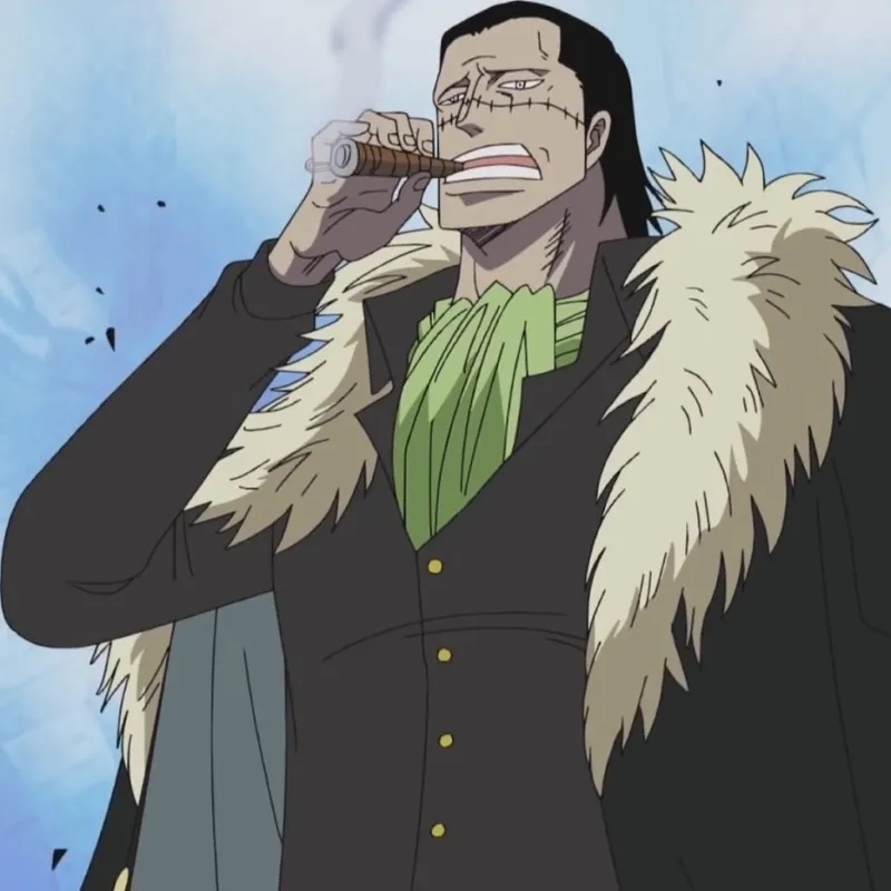 Ảnh Crocodile 13