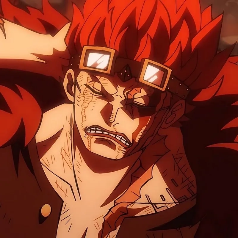 Eustass Kid 15
