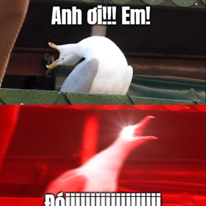 meme vịt 5
