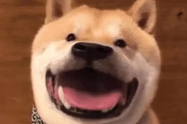 hinh anh hai meme cho 6
