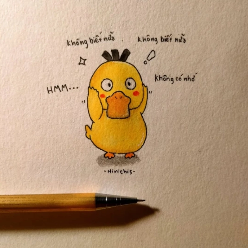 meme không 5