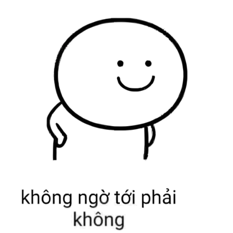 meme không 8