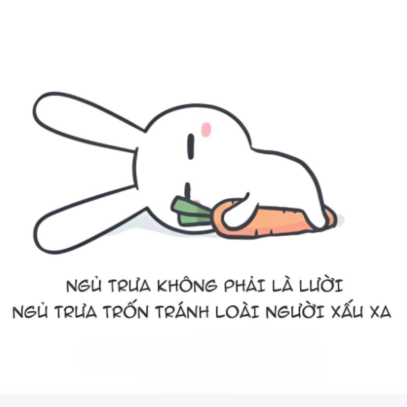 meme chúc ngủ ngon 24