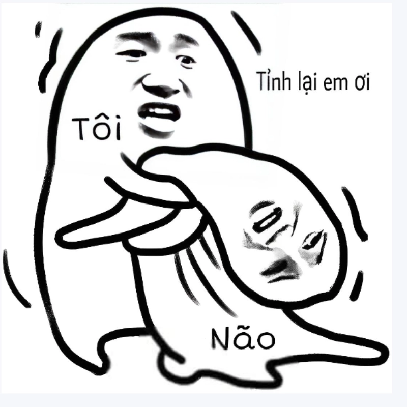 meme chửi 19