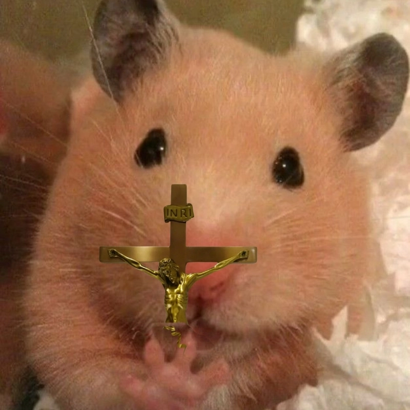 meme chuột 5