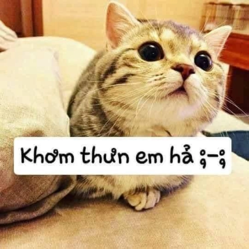 meme dễ thương 13