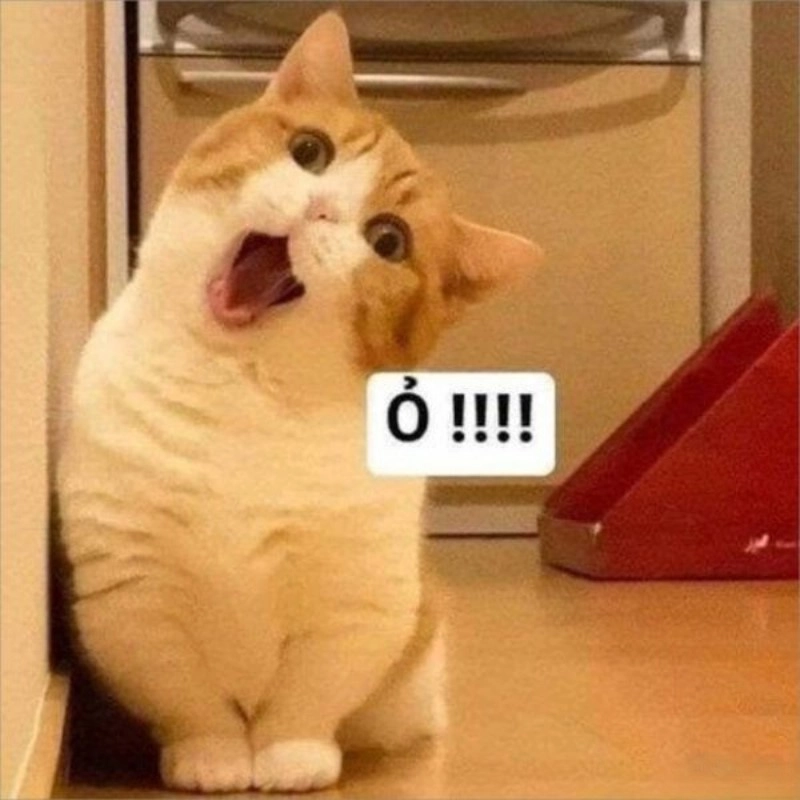 meme há mồm 23
