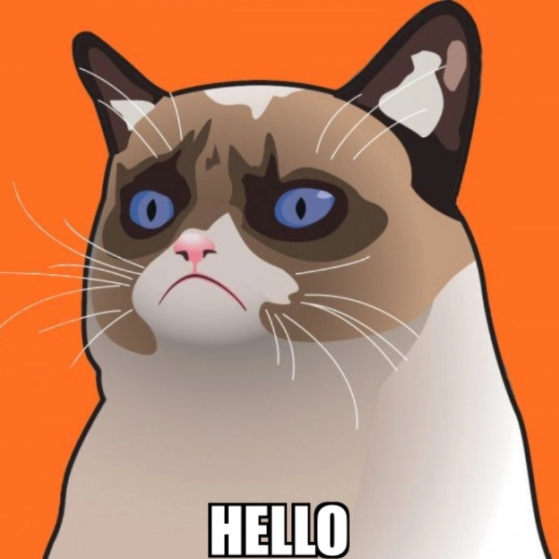 Meme Hello 15