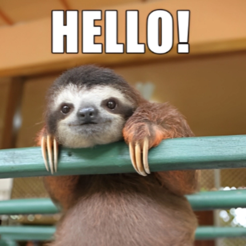 Meme Hello 4