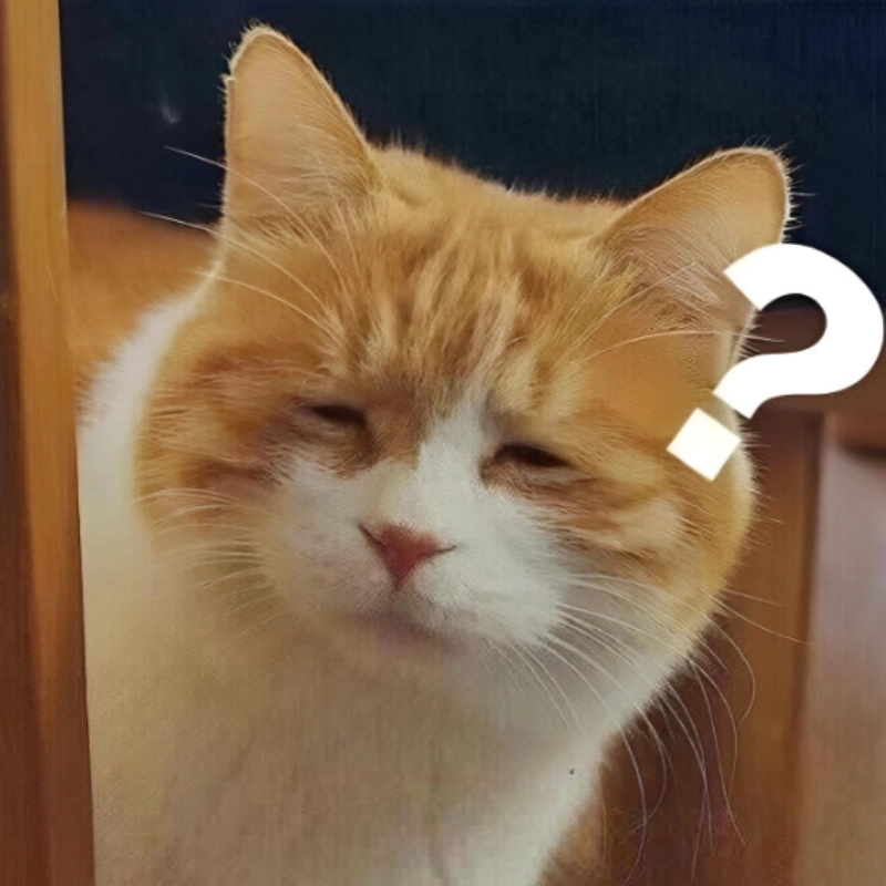 meme khó hiểu 11