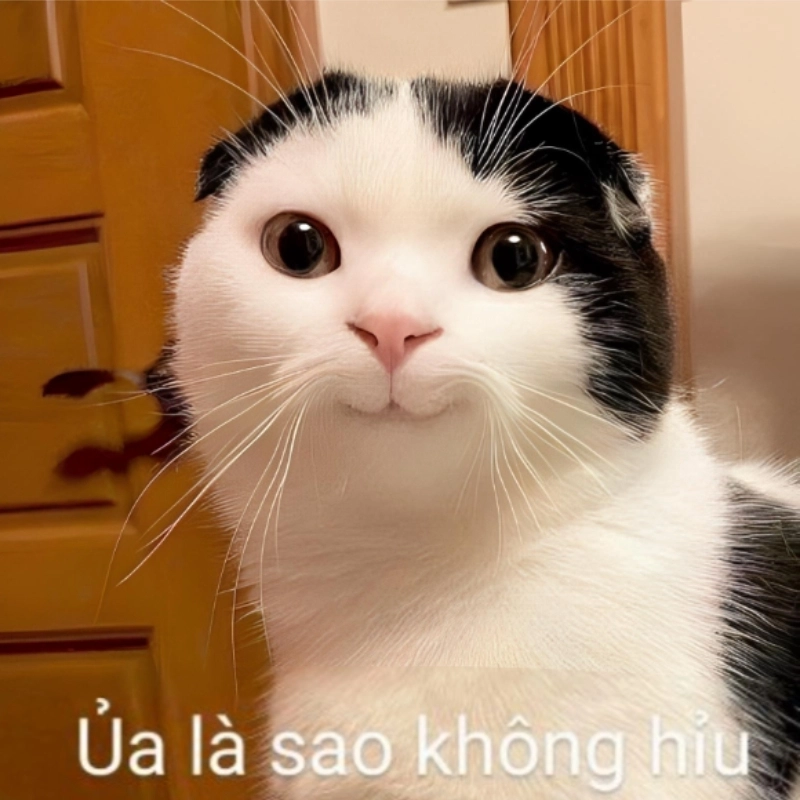 meme khó hiểu 3