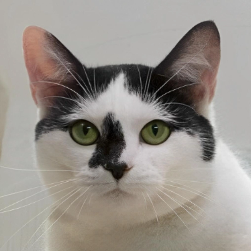 meme khó hiểu 21