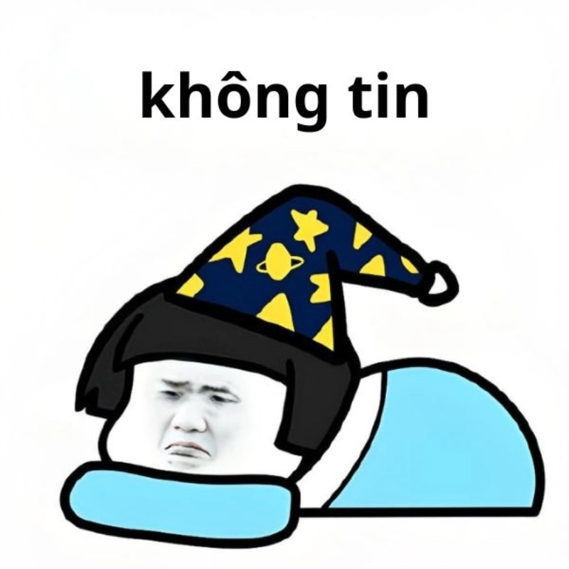 ảnh meme Không 18