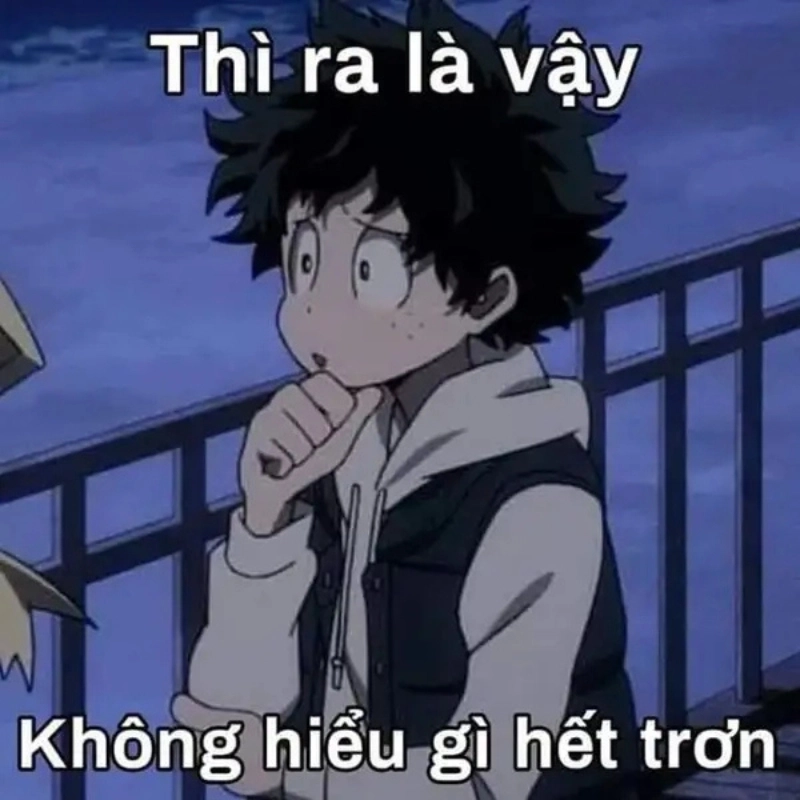 ảnh meme Không 29