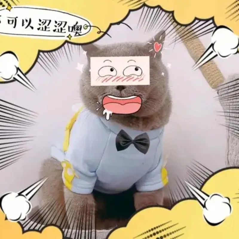 ảnh chế meme mèo bựa 32