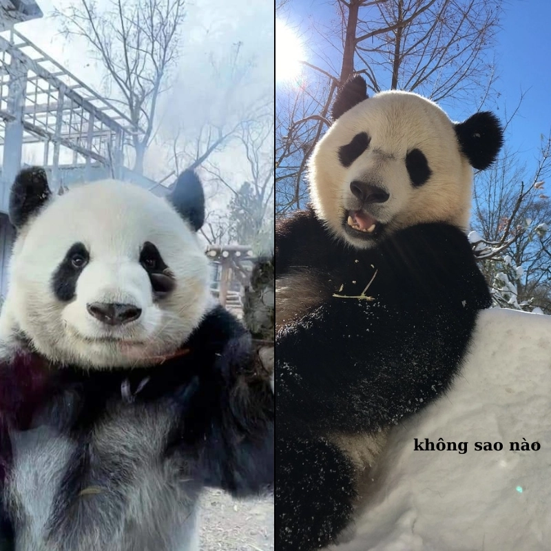 meme an ủi 16