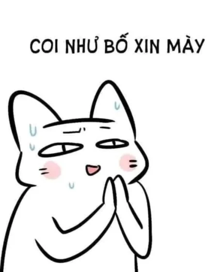 meme quy lay 20