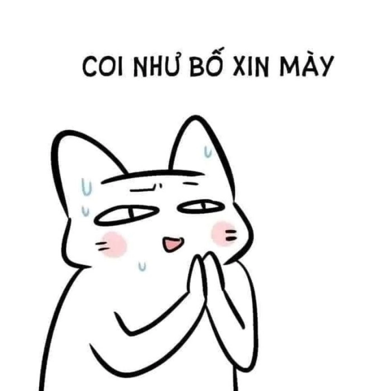 meme quy lay 20