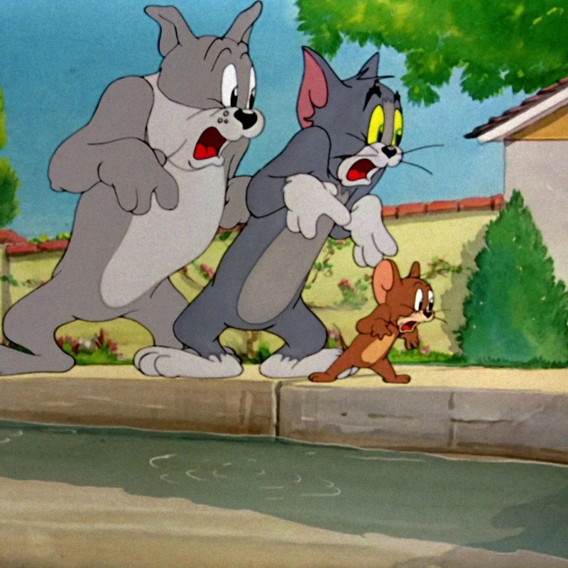 ảnh Meme Jerry 44
