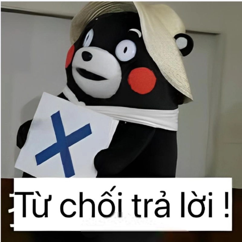 meme từ chối 20